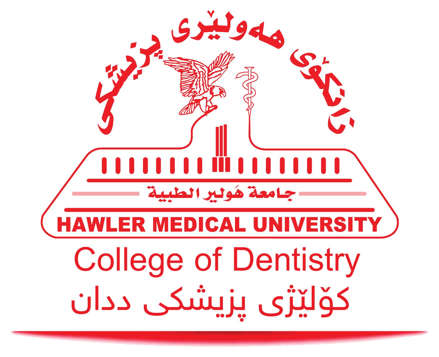 Hawler Medical University Logo